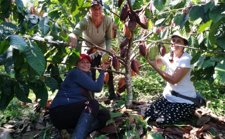 Mujeres aguacateras