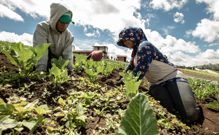 mujers agricultoras